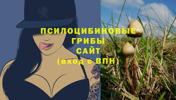 шишки Балахна