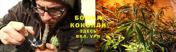 шишки Балахна