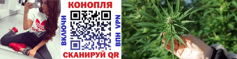 даркнет сайт  Чкаловск  Бошки Шишки SATIVA & INDICA 